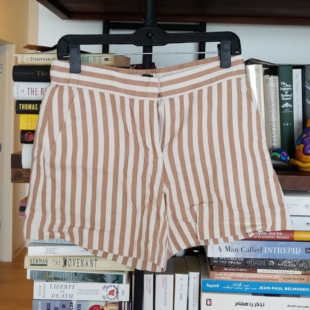 Ann Taylor dressy shorts